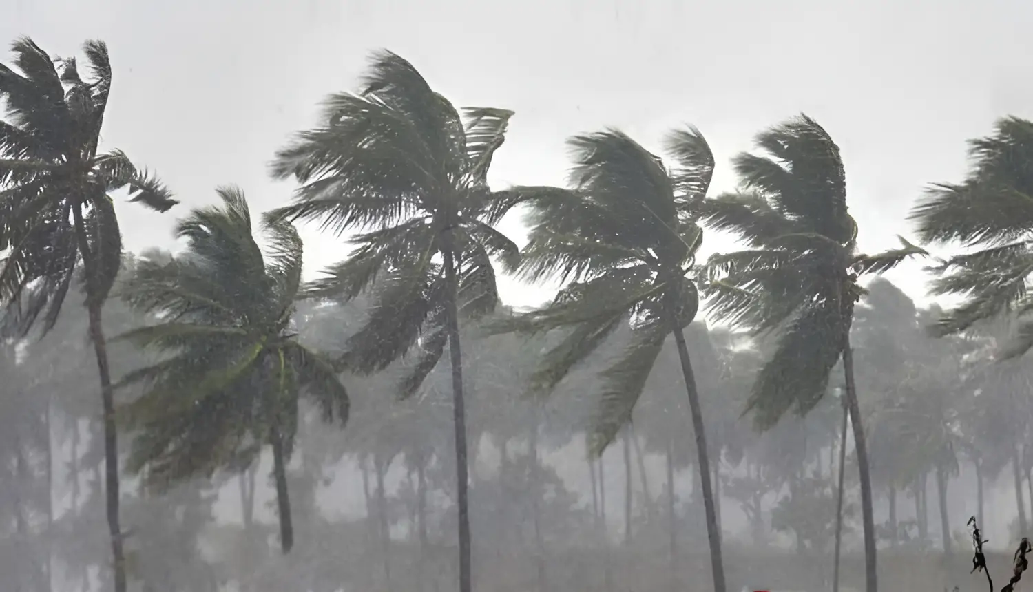 ڪراچي ۾ گرمي جي شدت گهٽجڻ، لاڙڪاڻي ۾ آنڌاري ۽ برسات جو امڪان